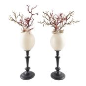 Pair of ostrich eggs