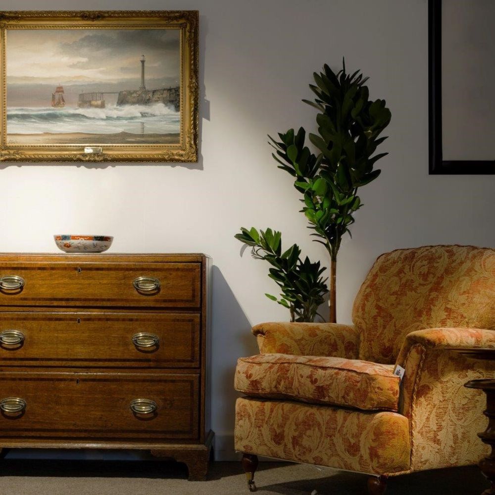 Furniture & Rugs