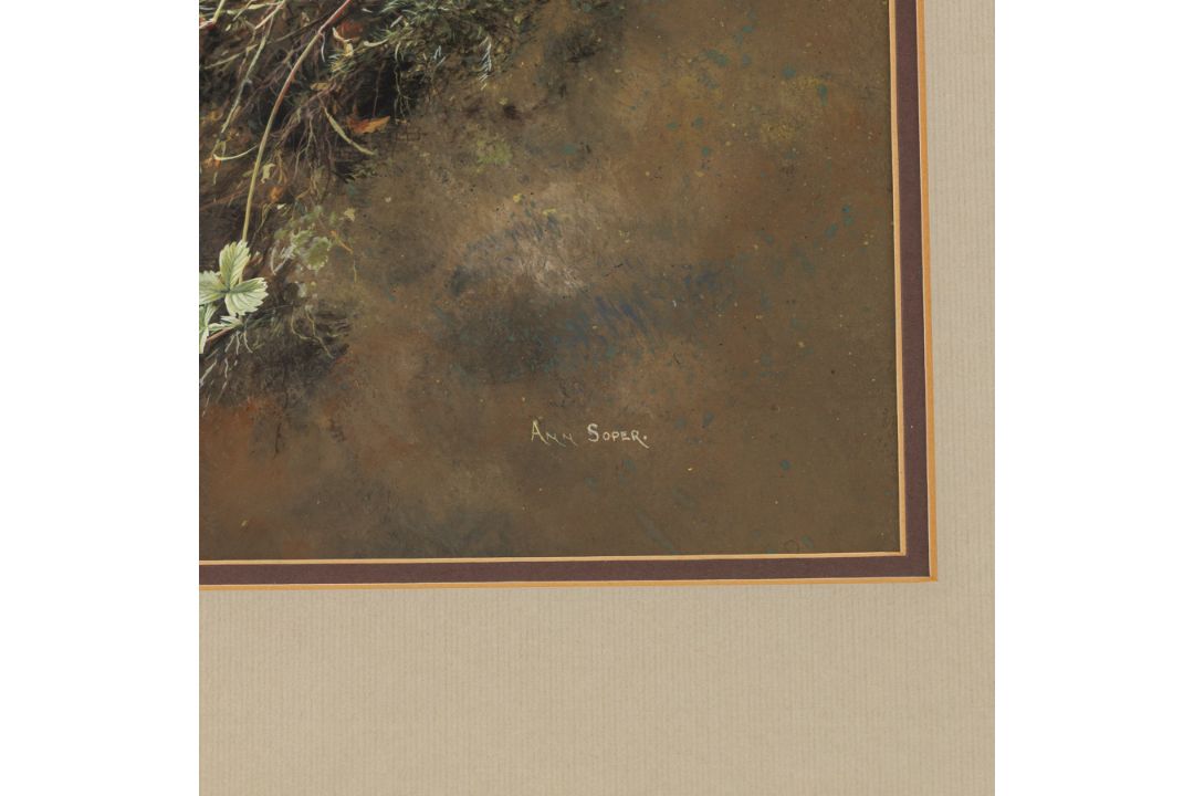 Ann Soper (British 20th century): Study of a Strawberry Plant - Image 3 of 4