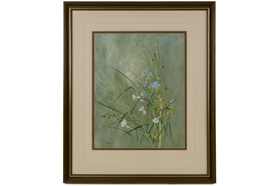 Ann Soper (British 20th century): Butterfly among Wildflowers - Image 2 of 4