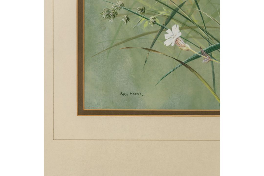 Ann Soper (British 20th century): Butterfly among Wildflowers - Image 3 of 4