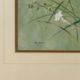 Ann Soper (British 20th century): Butterfly among Wildflowers - Image 3 of 4