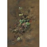 Ann Soper (British 20th century): Study of a Strawberry Plant