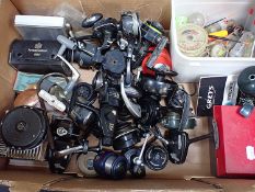 A LARGE COLLECTION OF VARIOUS REELS