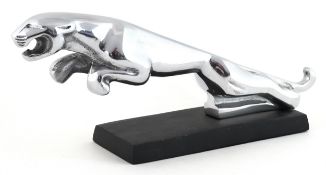 Motoring interest chromed Jaguar style car mascot raised on a black base, 30cm in length.