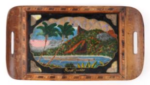 Vintage Rio de Janeiro butterfly wing tray, 42cm wide.