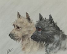 Two Terriers, pastel on paper, bearing indistinct signature, mounted and framed, 26cm x 21cm.