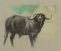 Peter Gray - Study of a buffalo, 20th century South African school pastel on paper, signed, mounted,