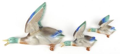 Graduated set of three Poole pottery duck wall plaques, the largest 30cm in length.