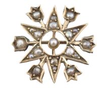 EARLY 20TH CENTURY GOLD & PEARL SNOWFLAKE BROOCH PIN