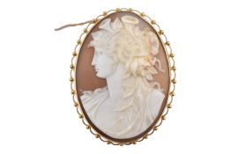GOLD MOUNTED CARVED SHELL CAMEO BROOCH PIN