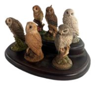 A 20TH SET OF SIX ROYAL DOULTON OWLS ON PLINTH