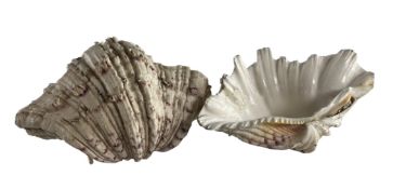 PAIR OF VINTAGE TRIDACNA GIGAS PACIFIC CONC SHELLS ASHTRAYS/TRINKET DISHES