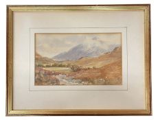 TOM LLOYD (1849-1910) - VICTORIAN WATERCOLOUR PAINTING