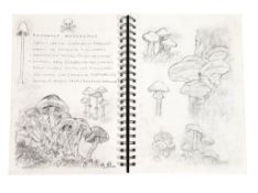 RICHARD BAZLEY (B.1962) - CENSURE - DIRECTOR'S SKETCHBOOK