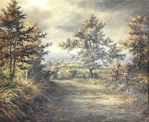 REX. N. PRESTON (B. 1948) - 20TH CENTURY 1973 OIL ON CANVAS LANDSCAPE PAINTING