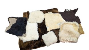 COLLECTION OF VARIOUS SHEEPSKIN PELTS & RUGS