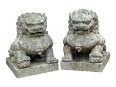 GARDEN STATUARY - RECONSTITUTED CHINESE TEMPLE DOGS