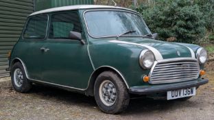 ODV 136W - 1981 MINI HL