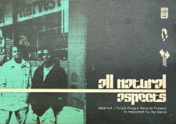 LOCAL BRISTOL INTEREST - ALL NATURAL / ASPECTS FLYER, LATE 1990S