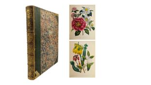 LOUDON, MRS. JANE 1848 THE LADIES' FLOWER GARDEN OF ORNAMENTAL GREENHOUSE PLANTS
