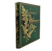 BRITTEN, JAMES c1880 EUROPEAN FERNS, ILLUSTRATED BY D. BLAIR
