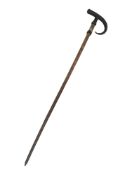 20TH CENTURY TAXIDERMY HORN WALKING STICK