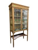 EARLY 20TH CENTURY ART NOUVEAU STYLE BOOKCASE CABINET