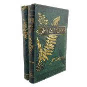 HIBBERD & LANKESTER: 1879-84 THE FERN GARDEN & BRITISH FERNS