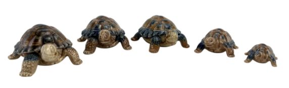 20TH CENTURY COLLECTION OF FIVE WADE PORCELAIN TURTLES