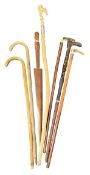 COLLECTION OF SIX WALKING STICKS AND ANOTHER