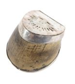 WWI FIRST WORLD WAR AUSTRALIAN LIGHT HORSE HOOF