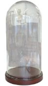 LARGE VICTORIAN 19TH CENTURY GLASS DOME DISPLAY CASE
