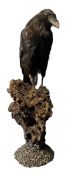 TAXIDERMY/NATURAL INTEREST - A COMMON RAVEN SET ON NATURALISTIC ROCK BASE