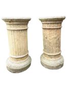 PAIR OF EARLY 20TH CENTURY OUTDOOR GARDEN CORINTHIAN PLANT STANDS