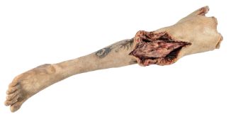 POLDARK (BBC DRAMA SERIES) - SCREEN MATCHED SEVERED LEG PROP