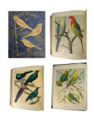 BLAKSTON, SWAYSLAND & WIENER - c1880 THE ILLUSTRATED BOOK OF CANARIES AND CAGE-BIRDS
