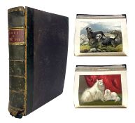 SHAW, VERO - c1880 THE ILLUSTRATED BOOK OF THE DOG, FIRST EDITION