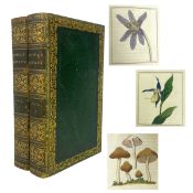 DUPPA, RICHARD - 1816 THE CLASSES AND ORIGINS OF THE LINNAEAN SYSTEM OF BOTANY, 1ST ED, 2VOLS