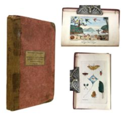 MAWE. J. 1825 THE VOYAGER'S COMPANION, OR SHELL COLLECTOR'S PILOT, HANDCOLOURED PLATES