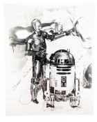 STAR WARS - ANTHONY DANIELS (C3PO) - SIGNED 8X10