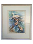 REBECCA JELBERT CONTEMPORARY WATERCOLOUR PAINTING OF A SWAN