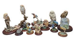 BORDER FINE ARTS & OTHERS - COLLECTION OF LATE 20TH CENTURY RESIN BIRD FIGURES