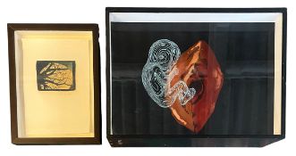 FIONA HASER (B. 1961) - THE JOURNEY - 3D LIGHT BOX ART AND PRINT