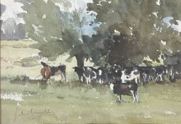 JOHN YARDLEY (B. 1933) - CATTLE IN THE WYLYE VALLEY - WATERCOLOUR ON PAPER