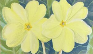 DANKA NAPIORKOWSKA (B.1946) - TWO PRIMROSES PASTEL