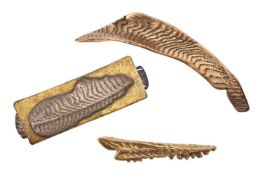 JENNY TURTILL THREE NATURALIST CUTTLEFISH DESIGN BROOCH PINS