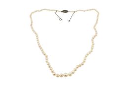 AN EARLY 20TH CENTURY PEARL NECKLACE