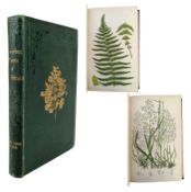 PRATT, ANNE - c1859 THE GRASSES, SEDGES, AND FERNS OF GREAT BRITAIN, COLOUR PLATES