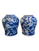 CHINESE 19TH CENTURY QING DYNASTY PAIR OF PORCELAIN BLUE & WHITE PRUNUS VASES
